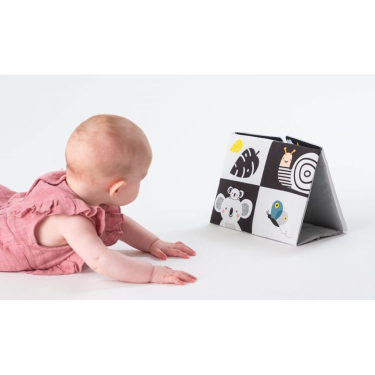 Picture of Taf Toys Tummy Time Spiegelboek