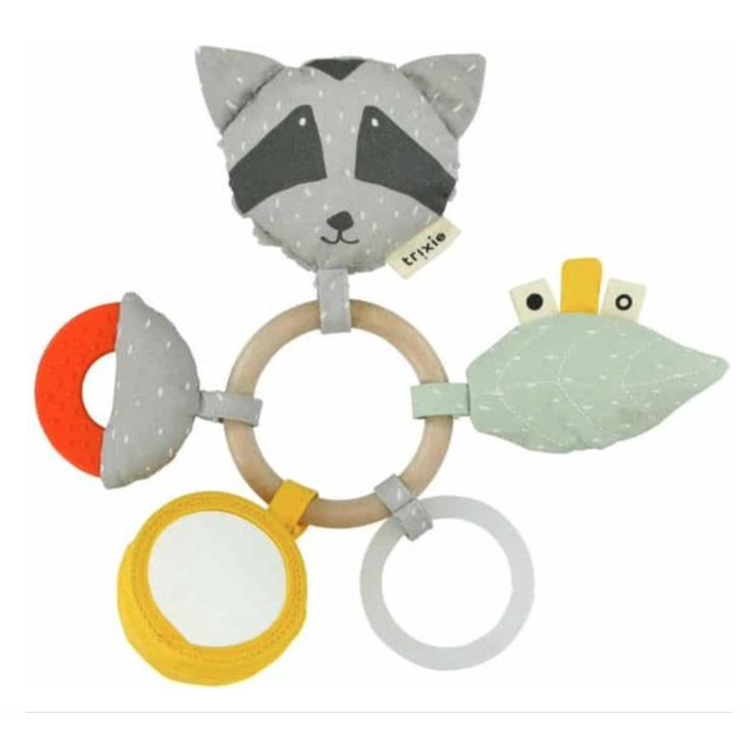 Picture of Trixie Raccoon activity ring