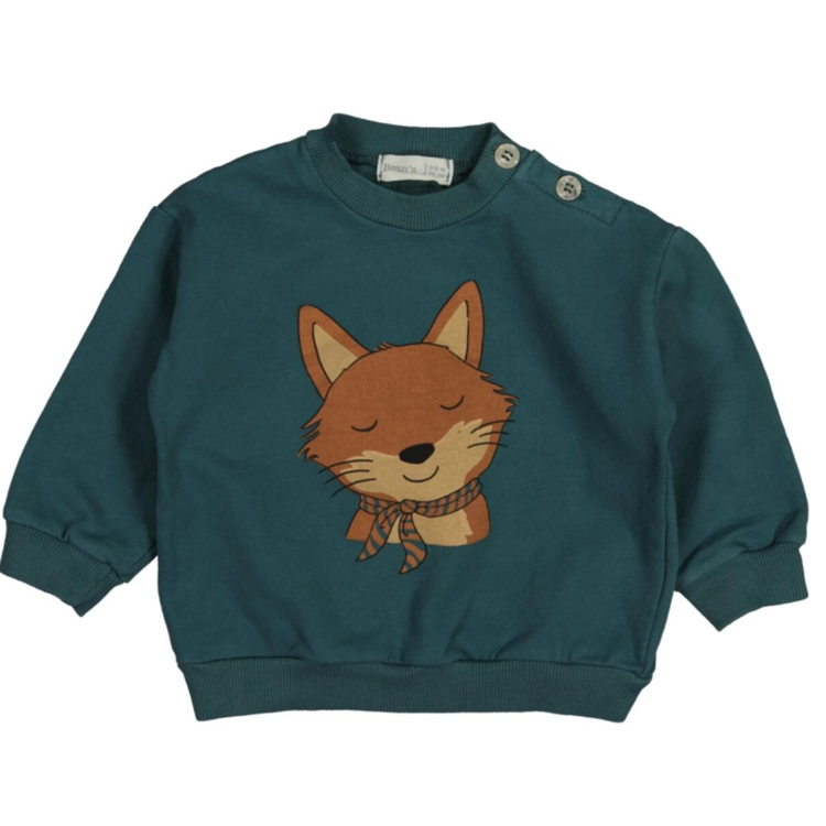 Picture of Bean's Sweater fox green