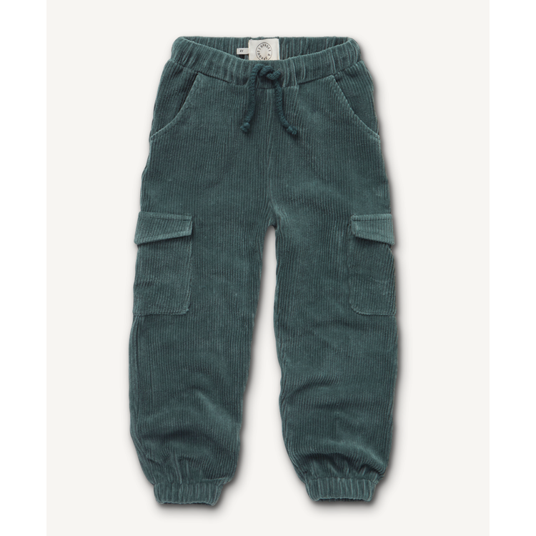 Picture of Sproet & Sprout Broek velours