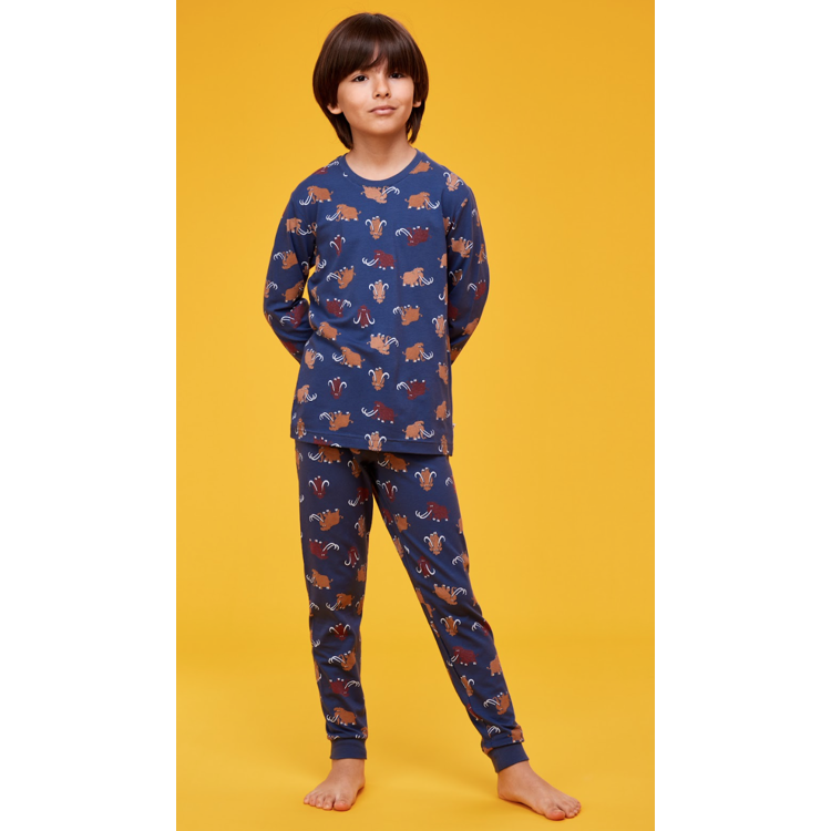 Picture of Woody Pyjama Mammoet all over print