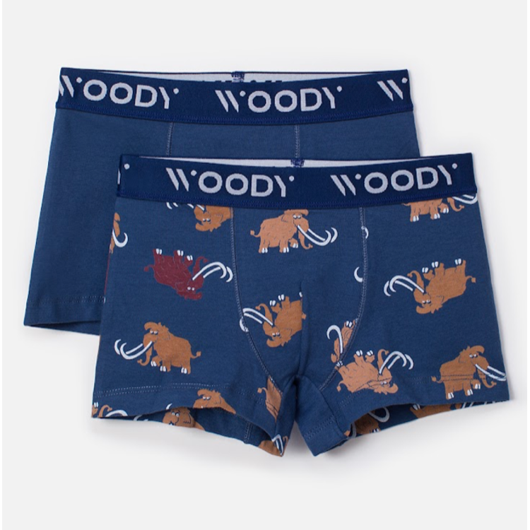 Picture of Woody Set Boxershorts boys